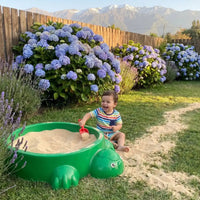 Niño jugando en el arenero plástico tortuga Cimic en un jardín con la cordillera de fondo